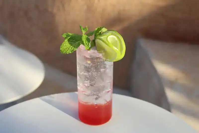 A tall iced drink, red at the bottom, with mint and lime