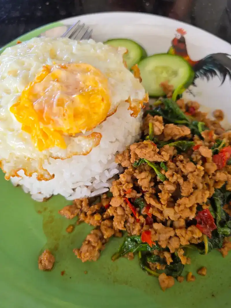 Thai basil stir-fry on rice with a fried egg and cucumber