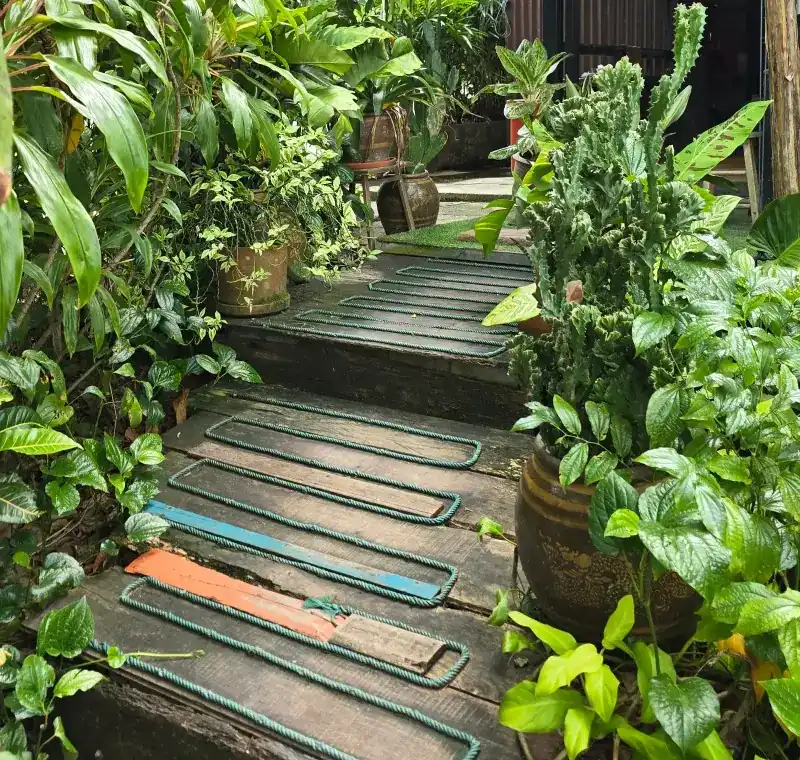 Timber steps with teal rope laid in loops, between potted plants