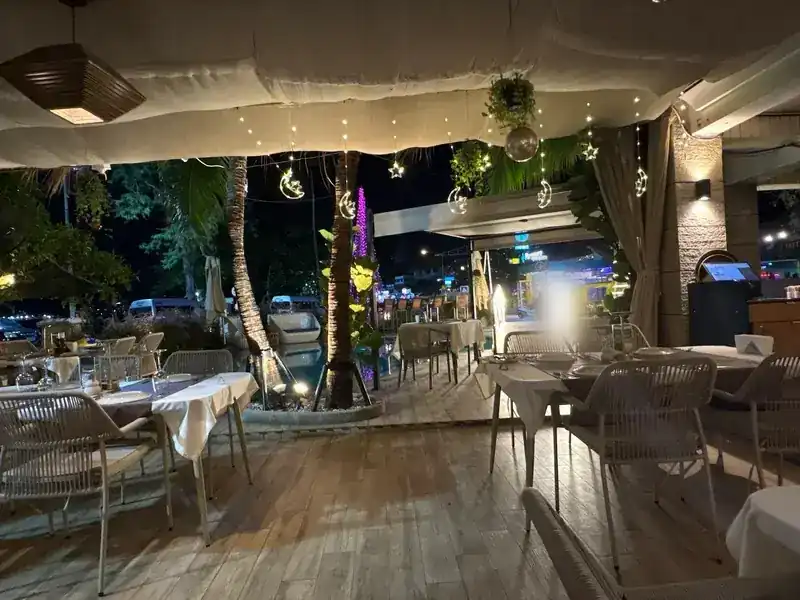 Crescent moon and star lights hanging under the canvas at the front, palms and the lit beach road behind