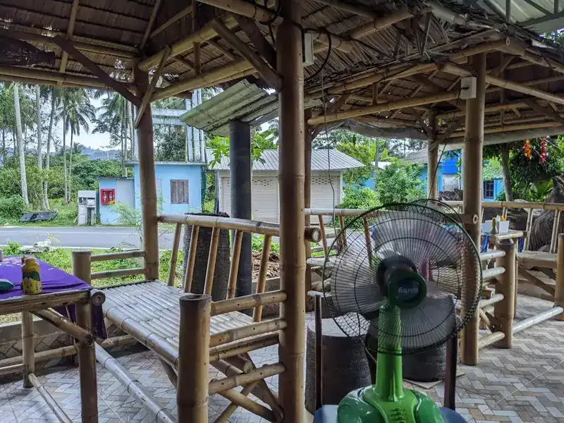 The open-air bamboo sala with a thatched roof, a standing fan and palm trees across the road