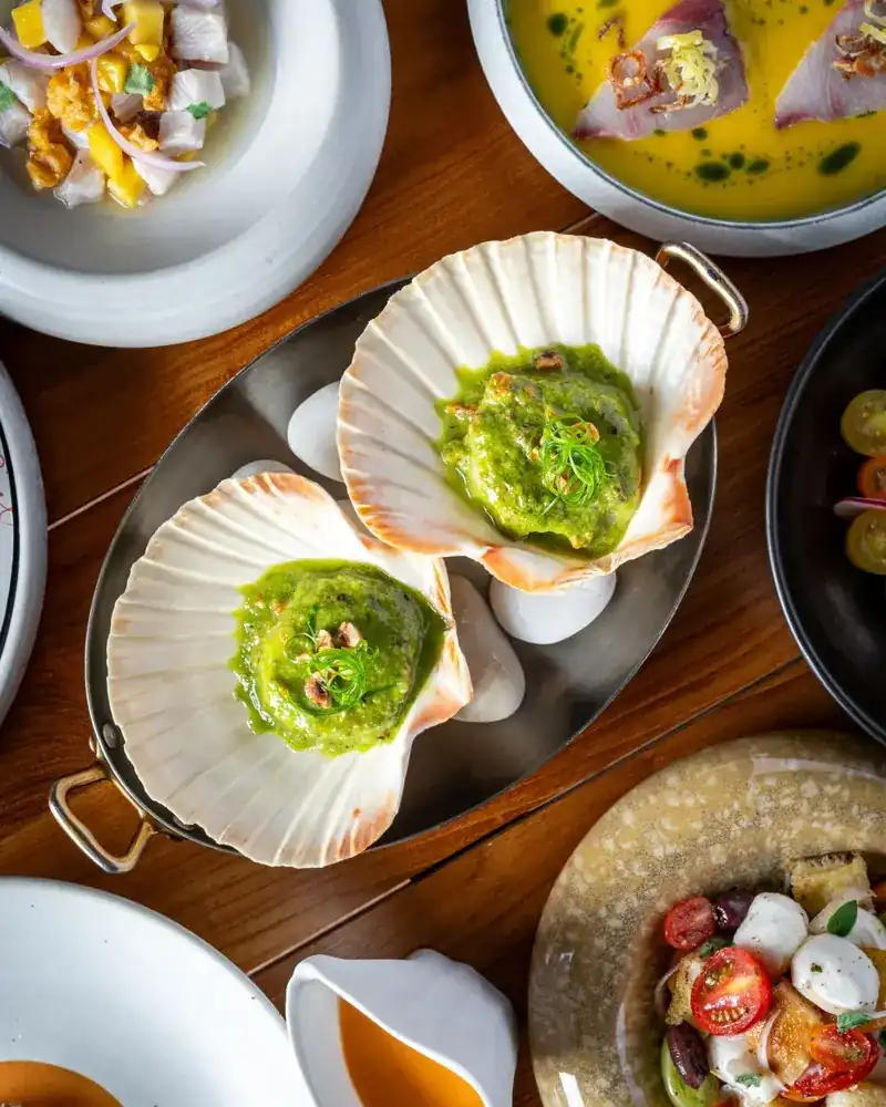 Scallops served in their shells with a green herb sauce