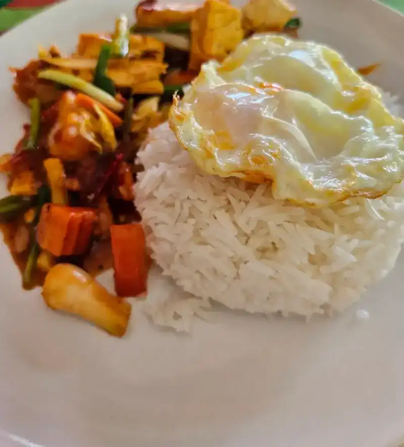 Tofu stir-fried with carrot and mushroom, rice and a fried egg / ผัดเต้าหู้ใส่แครอทและเห็ด ข้าวสวย ไข่ดาว