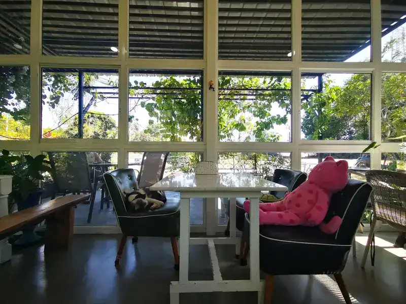 The glass room: a big pink soft toy on one chair and a cat asleep on another