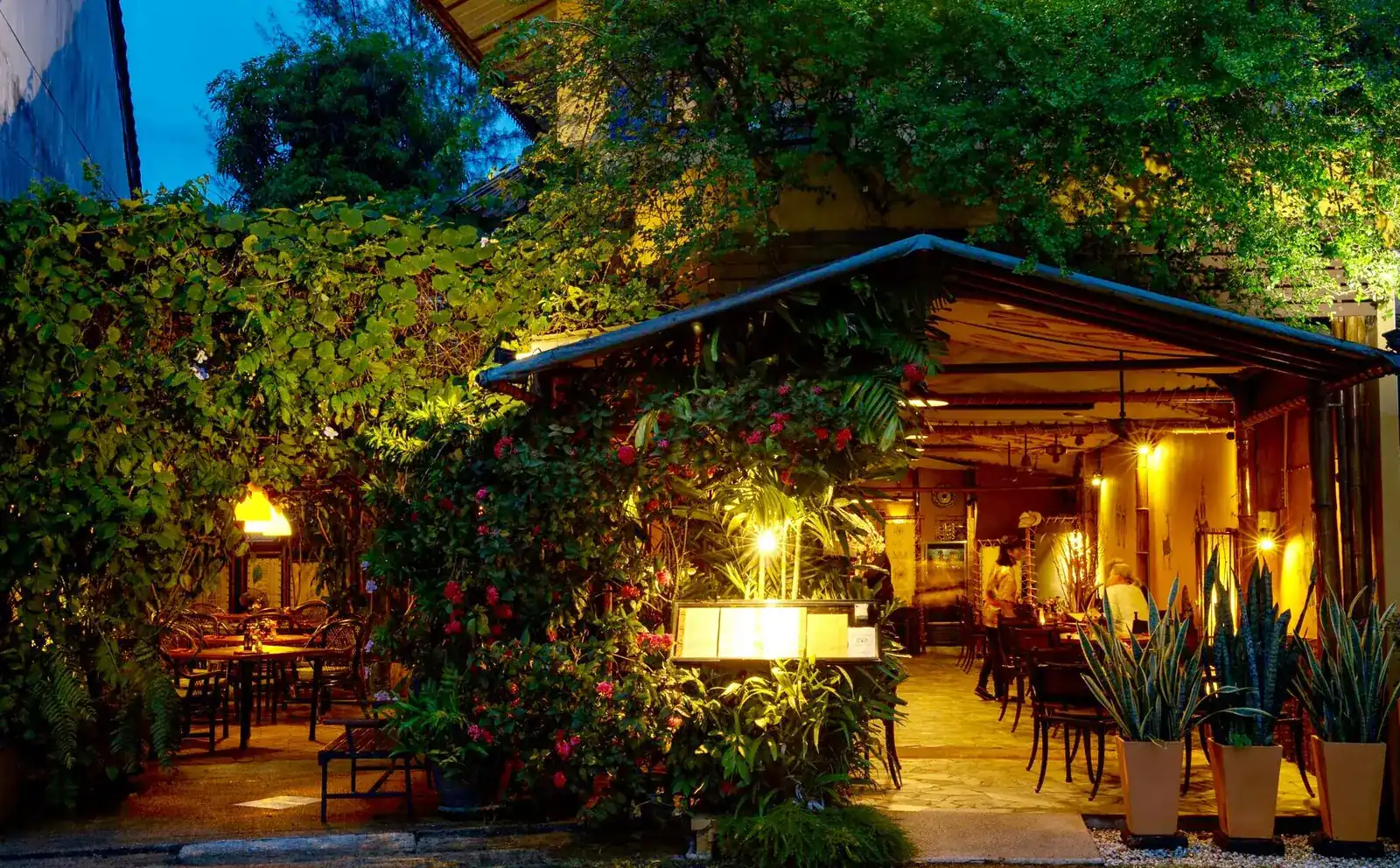 Tatonka at dusk: a courtyard covered in vines and flowers, lit by warm lamps