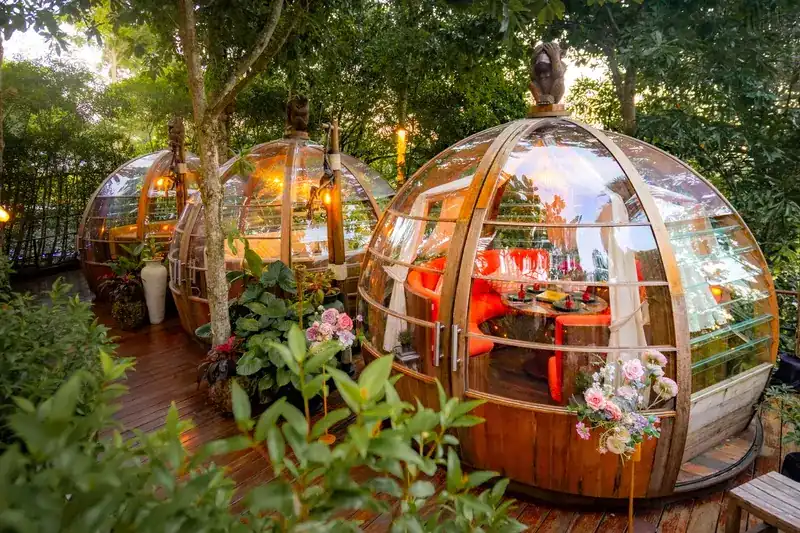 Glass and timber domes on a deck among the trees, each with a table set inside
