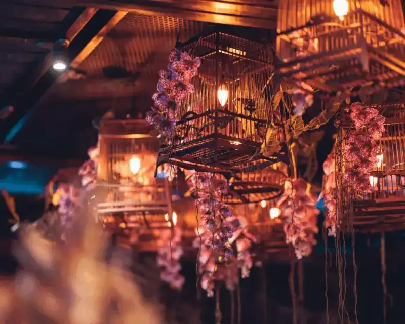 Birdcage lanterns wrapped in orchids, glowing under the wooden ceiling