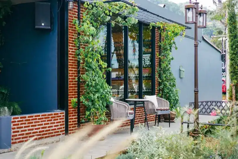 Outdoor seats beside the red-brick wall and climbing plants