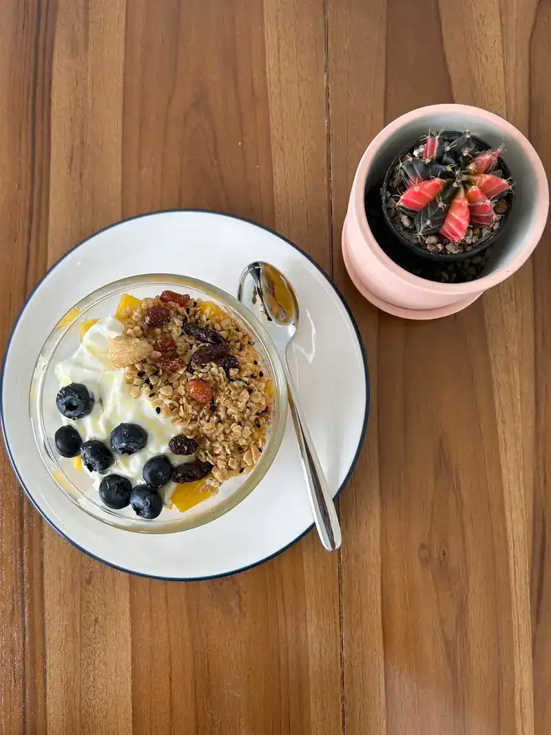 A glass bowl of yoghurt with granola, blueberries and fruit, next to a small cactus