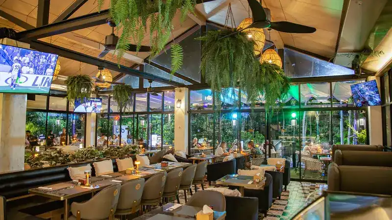 Medusa in the evening: long tables, ferns overhead and glass walls looking out to the trees