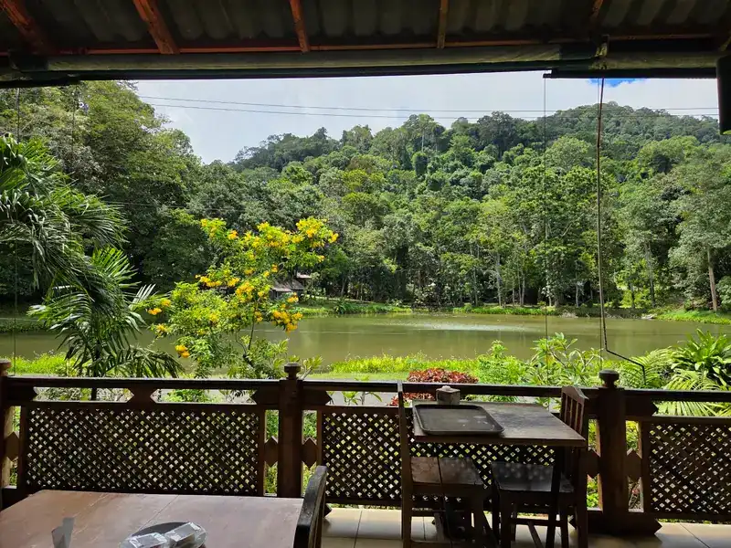 The pond and the forested hill seen from under the terrace roof, yellow flowers by the rail