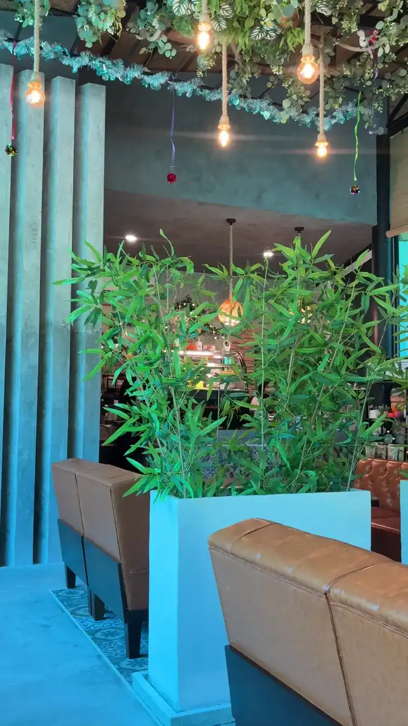 Bamboo in white planters between tan leather booths, under hanging bulbs. ต้นไผ่ในกระถางสีขาวคั่นระหว่างโซฟาหนัง ใต้หลอดไฟที่ห้อยลงมา