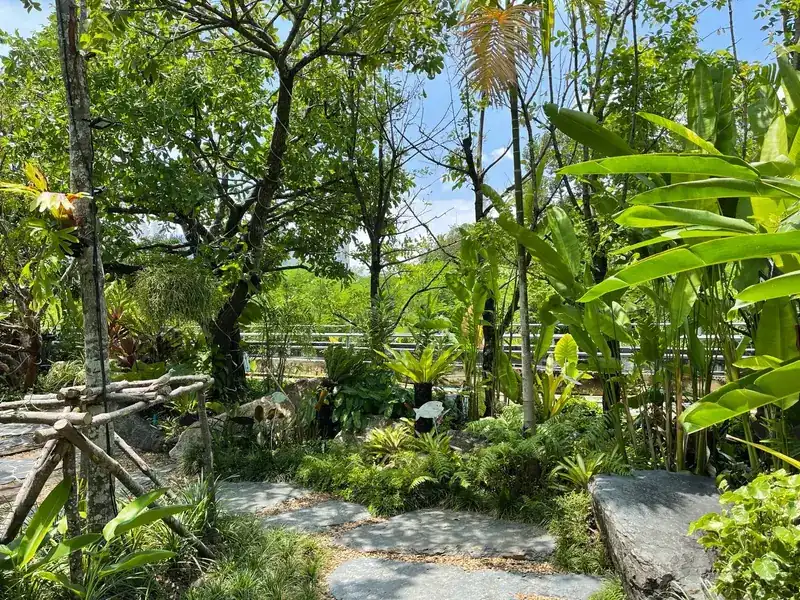 Slate stepping stones through the garden's ferns, palms and banana leaves