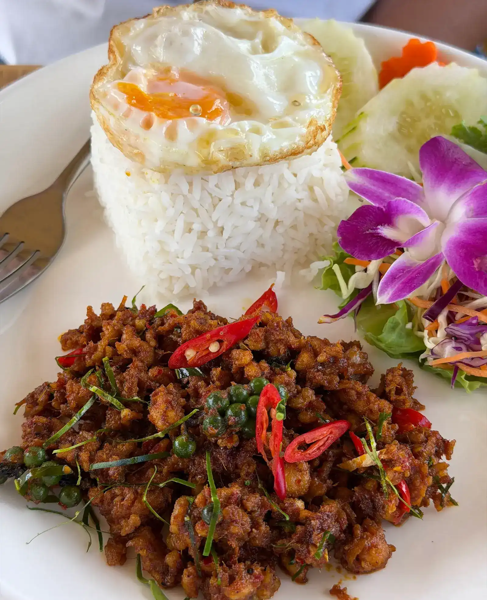 A spicy stir-fry with green peppercorns and red chilli, rice topped with a fried egg, salad and a purple orchid on a white plate