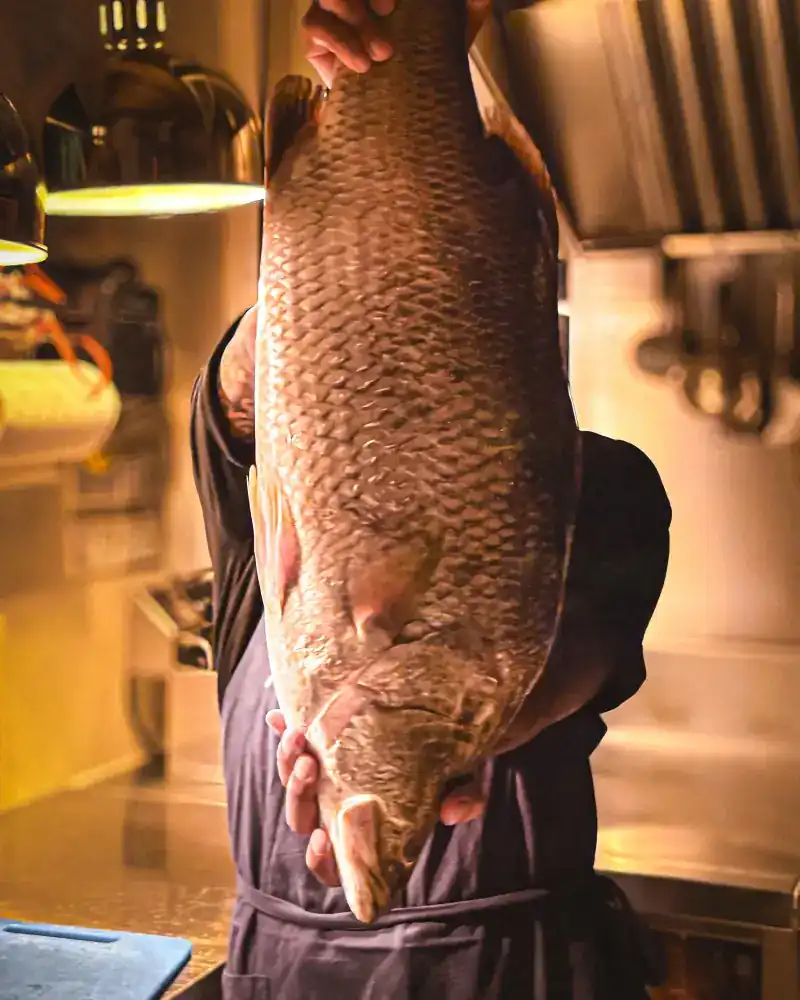 A cook in a dark apron holds up a whole fish in the kitchen