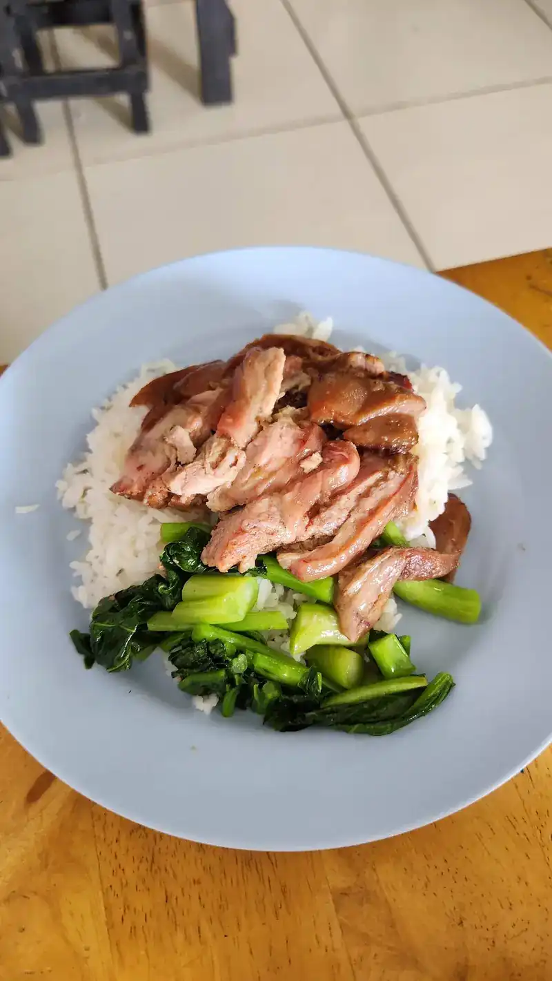 Sliced pork over rice with blanched greens on a pale blue plate