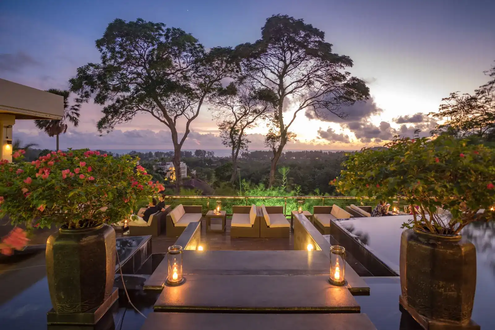 The terrace at dusk: lanterns, flowering pots and tall trees, with treetops running out to the sea