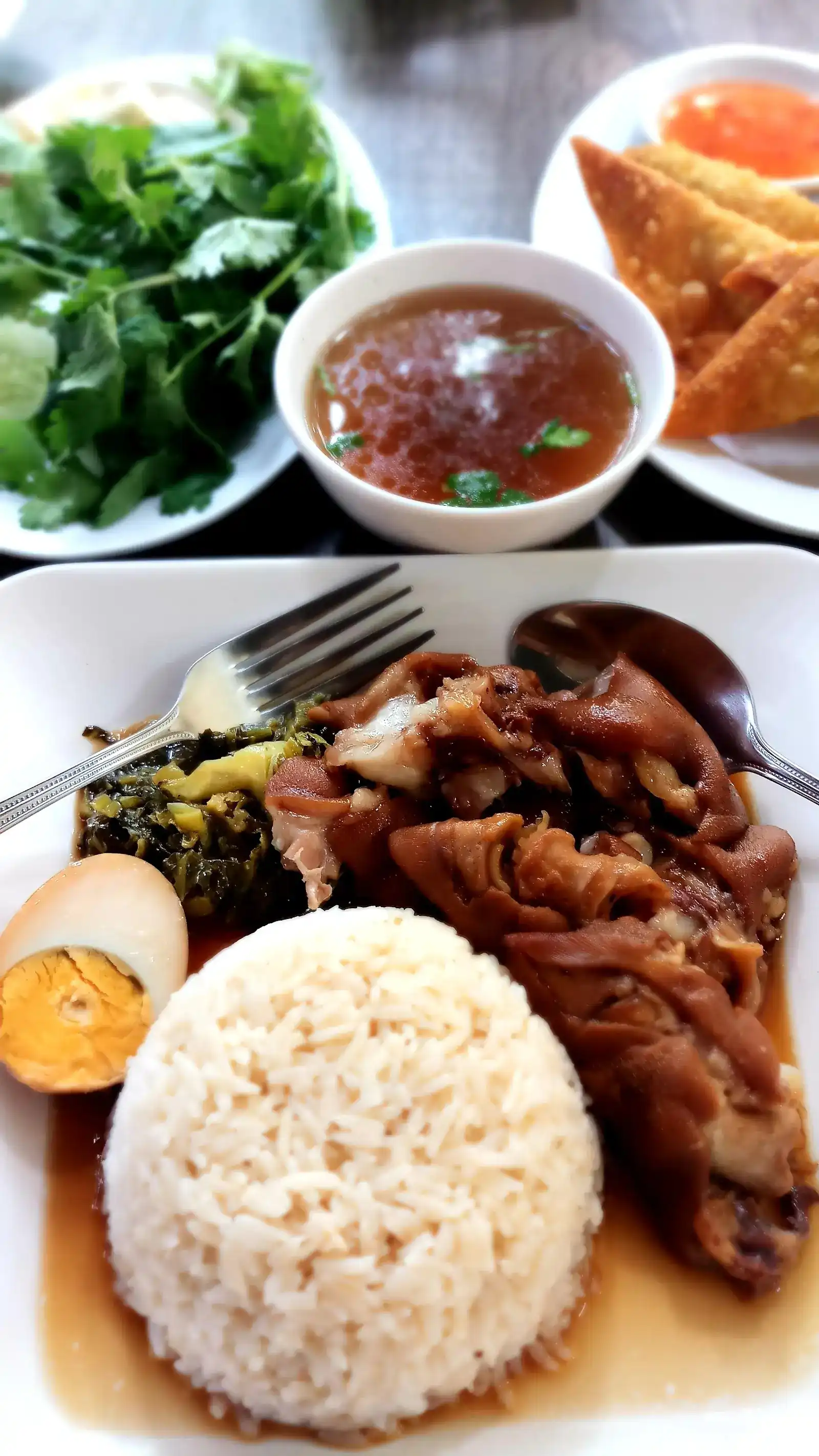 Stewed pork leg on rice with half an egg and pickled mustard greens, a bowl of broth, fresh greens and fried wontons behind