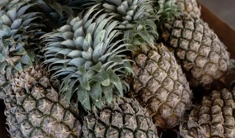 A crate of Phuket pineapples