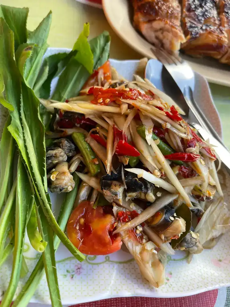Papaya salad with shellfish and fresh greens, grilled chicken on a plate behind