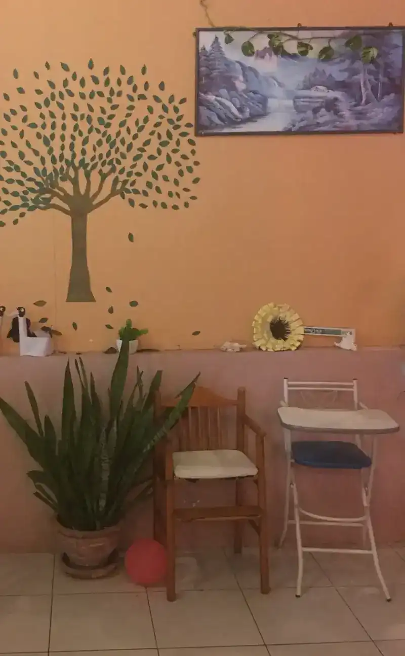 Dining room with an orange wall, a painted tree and potted plants