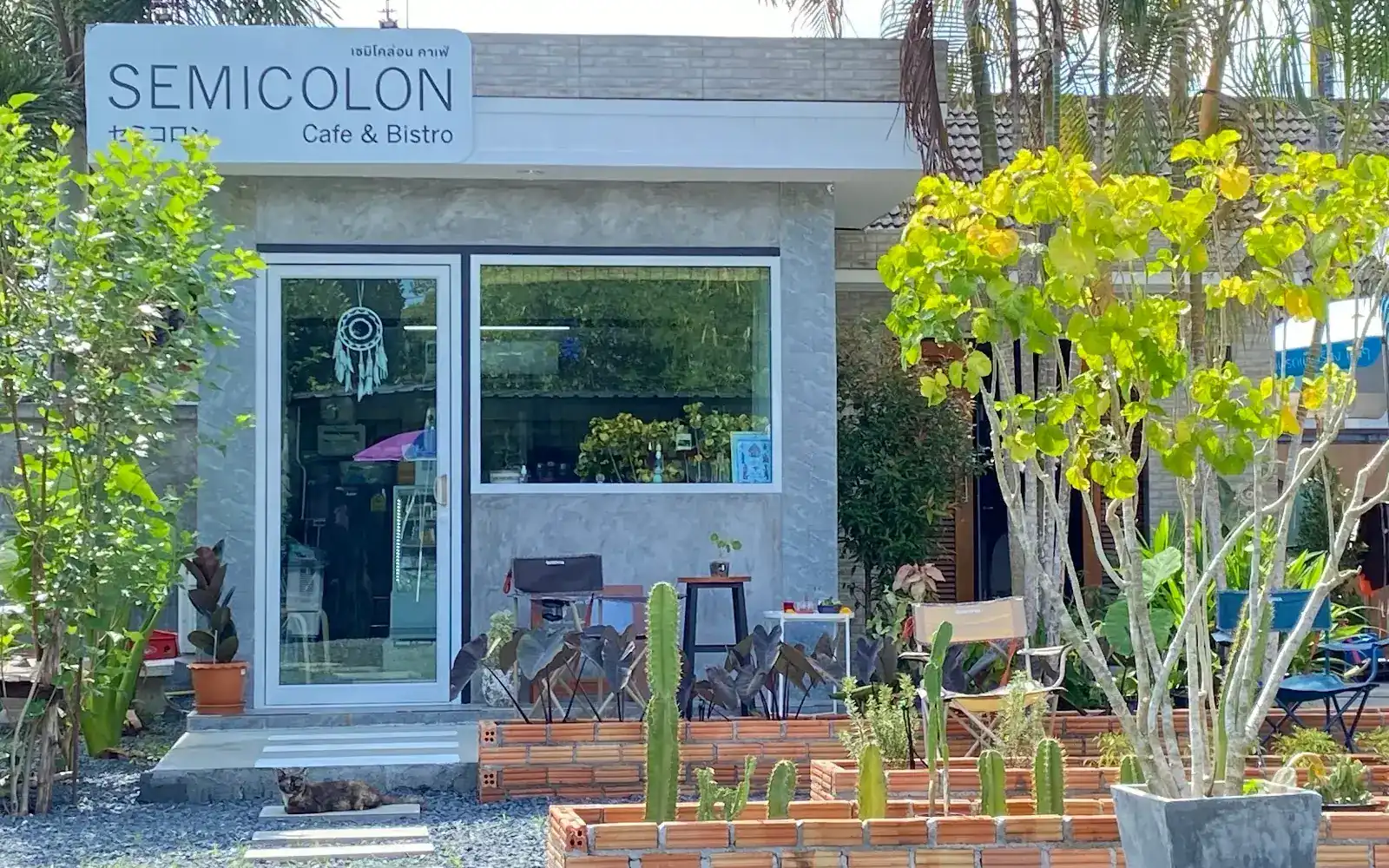 The front of Semicolon Cafe & Bistro: a grey building with its name sign, cactus beds in brick planters, and a cat resting by the step