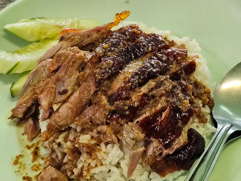Roast duck on rice with gravy and cucumber