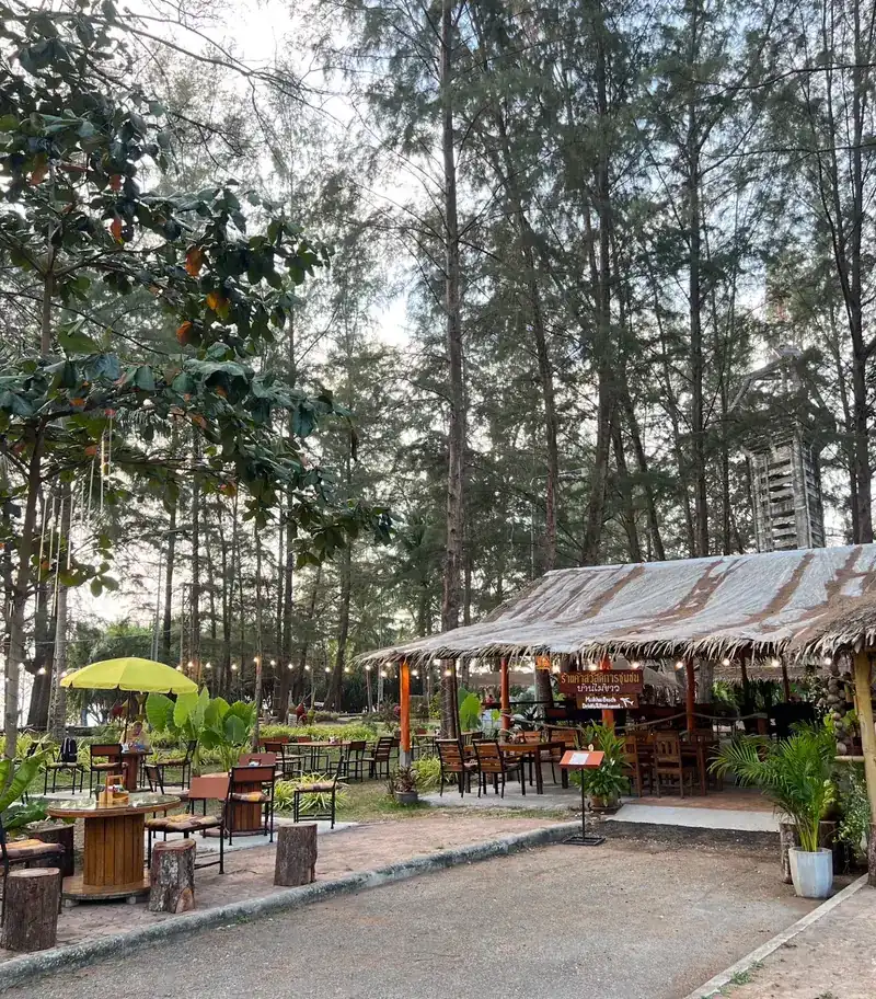 Tables and a thatched dining pavilion under tall pine trees