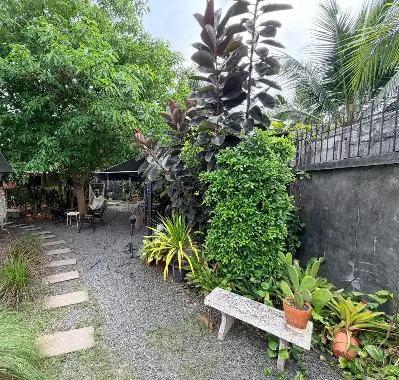 A stepping-stone path through the garden, with plants, a stone bench and tables under a tree