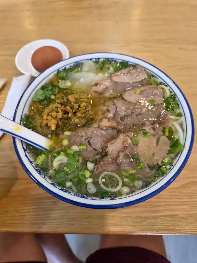 Beef noodle soup topped with sliced beef and spring onion, an egg on the side