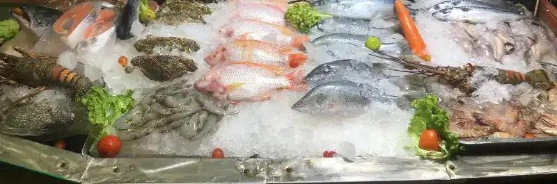Whole fish, prawns, crabs and lobsters laid on crushed ice at the front counter