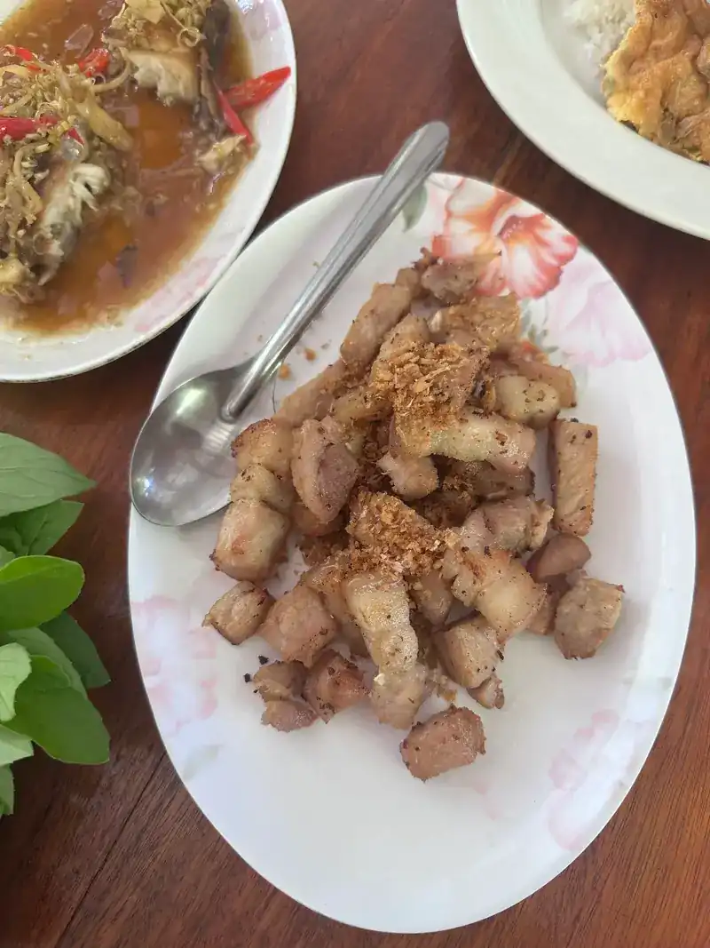 A plate of fried pork