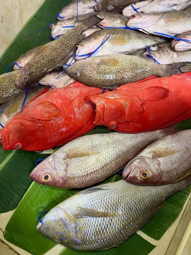 Red and spotted groupers with snappers on banana leaves