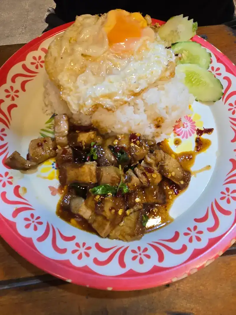 Rice, a fried egg and stir-fried pork on a flower-print enamel plate
