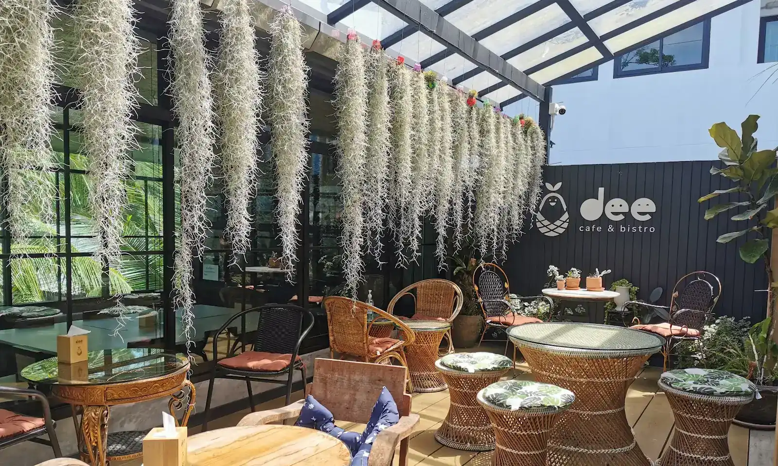 The terrace at dee cafe & bistro: rattan chairs and glass-topped tables on a timber deck under hanging air plants
