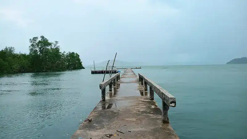 A concrete pier running out into the calm sea, mangroves to the left