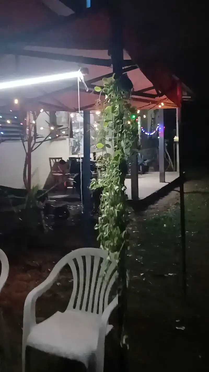 The garden at night, string lights under the canopy and a white chair in front