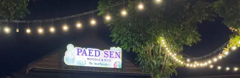 The lit Paed Sen Noodle and Rice sign at night under strings of lights and a tree