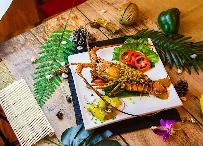 A whole lobster served on a white plate with salad
