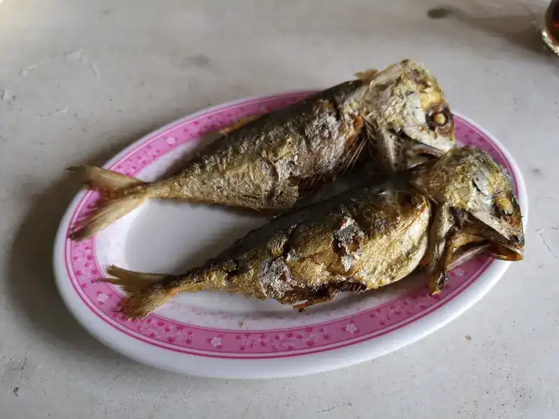 Two whole fried fish on a pink-rimmed plate