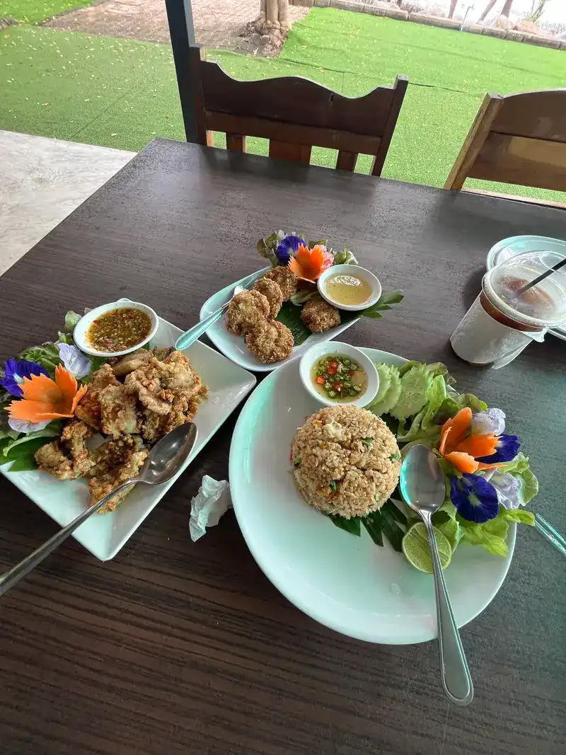 Fried dishes, fried rice and dipping sauces on a table beside the lawn