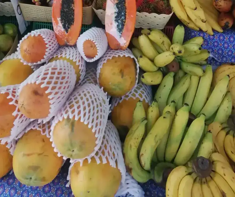 Papayas in foam sleeves next to bunches of bananas
