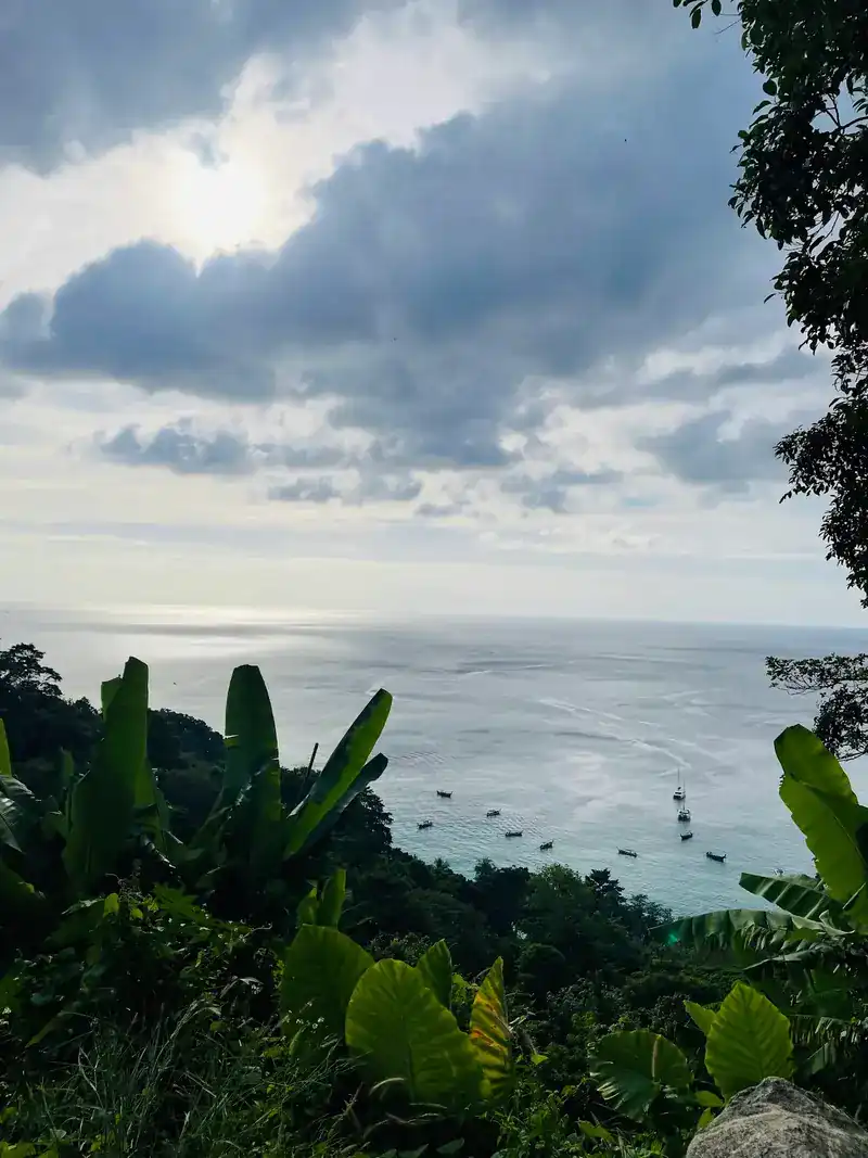 Banana leaves in the foreground and the sea far below, with long-tail boats and a catamaran at anchor
