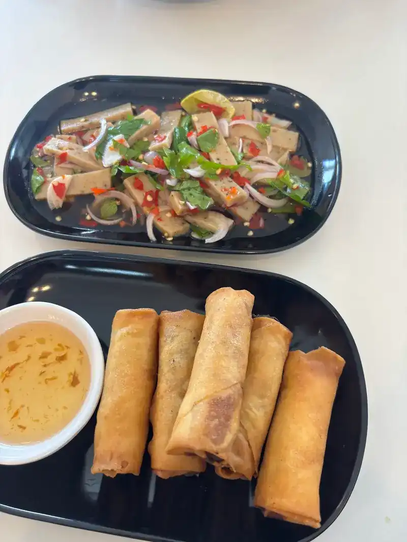 Fried spring rolls with dipping sauce, and a spicy salad
