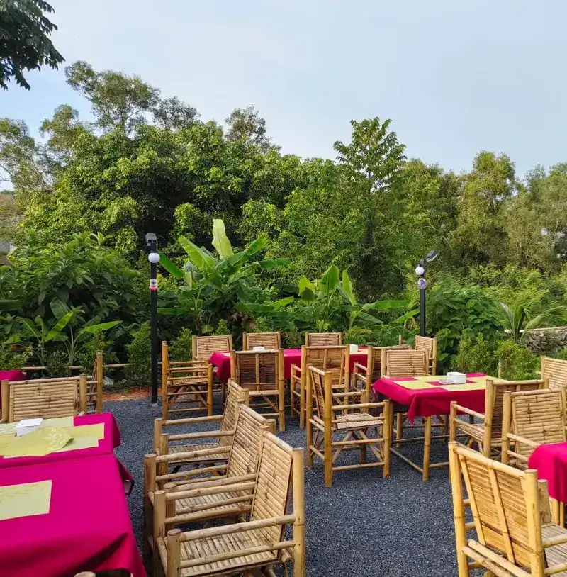 Garden tables with pink cloths, green placemats and bamboo chairs among banana plants and tall trees