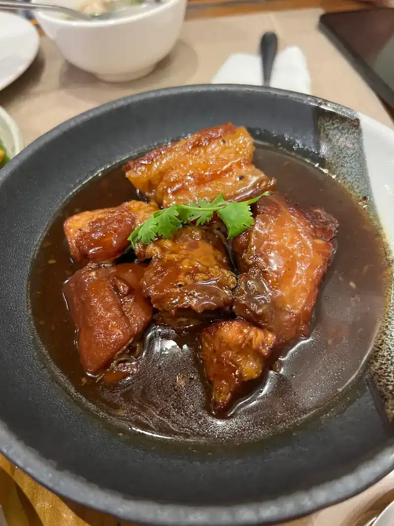 Braised pork belly in a dark, glossy sauce