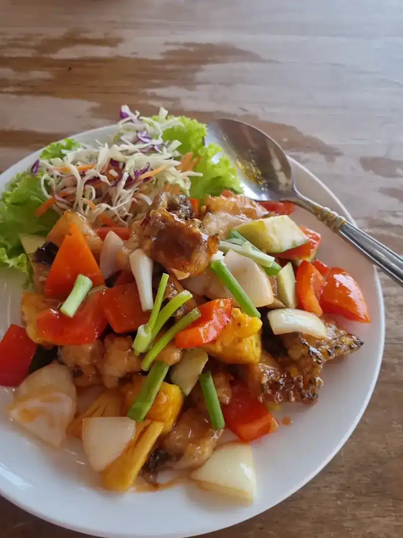 A stir-fry of peppers, onion and spring onion, served with salad