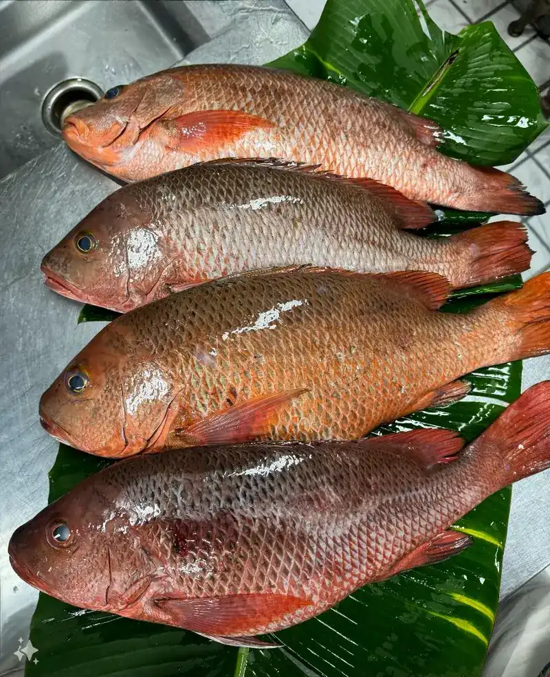 Four red snappers on a banana leaf