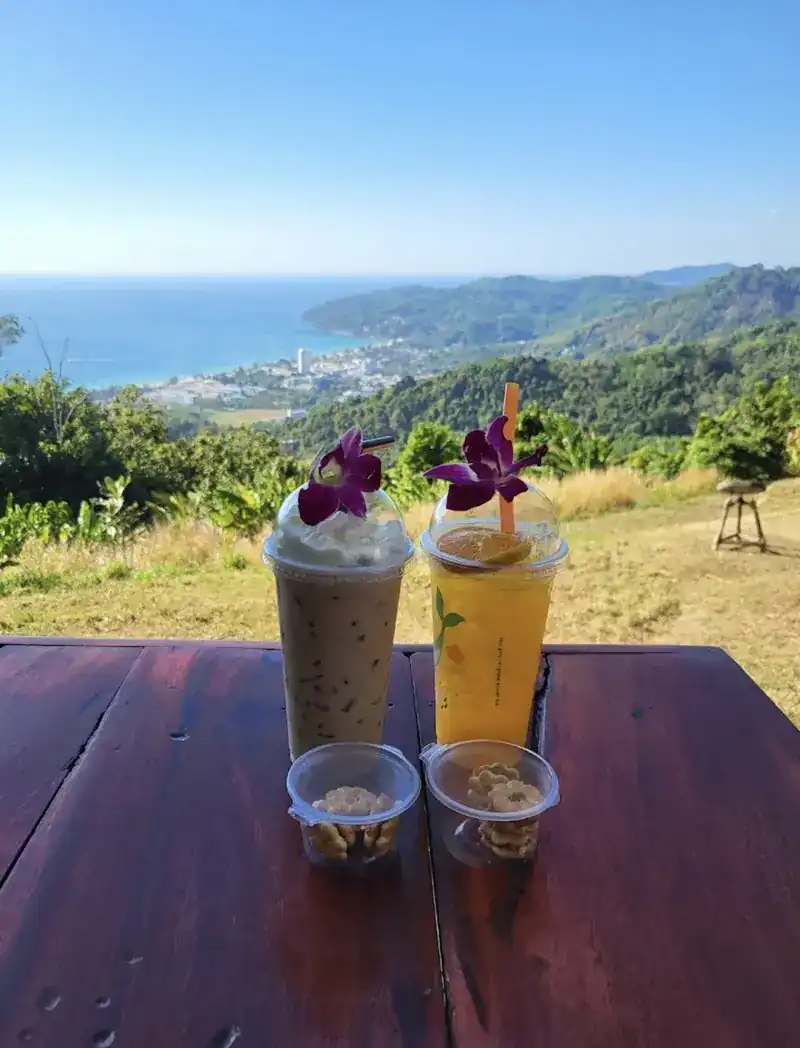 Two iced drinks topped with orchids on a table, the sea and hills behind