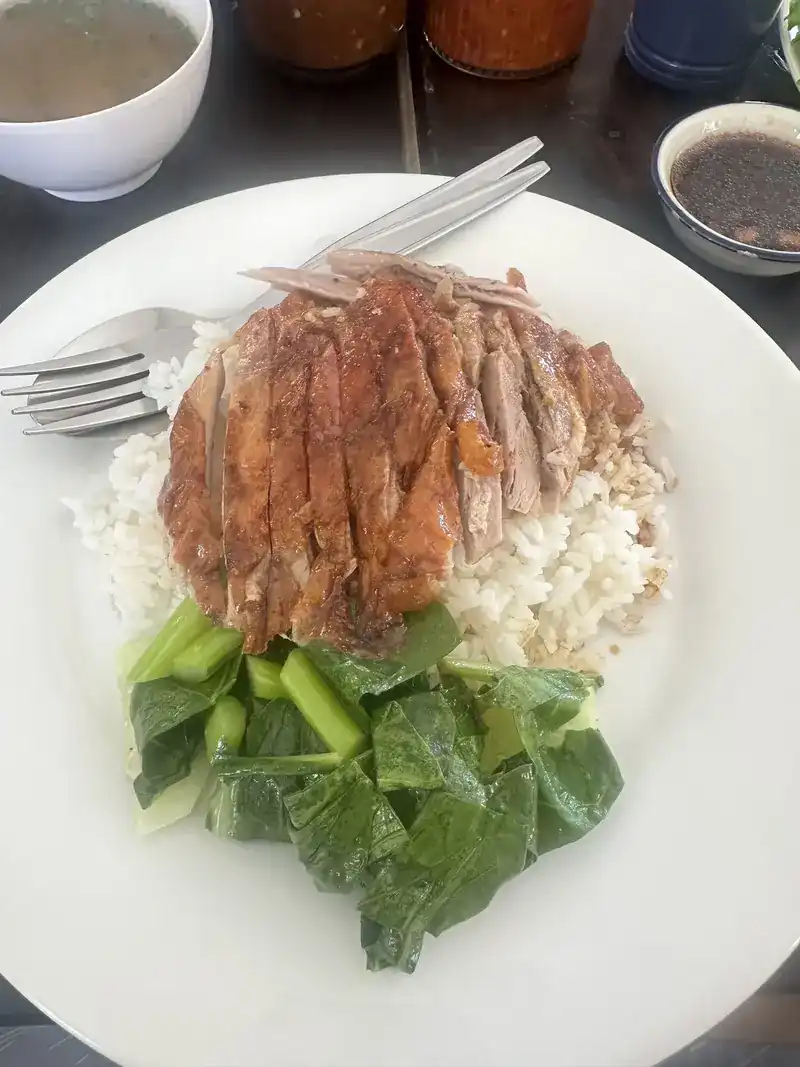 Sliced duck over rice with cooked greens